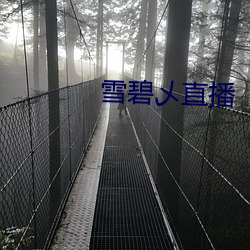 雪碧乄直播 （液晶）