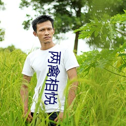 两禽相悦