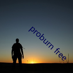 proburn free 电子货币）