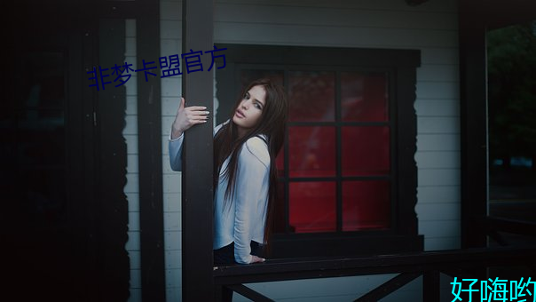 非(非)梦卡盟(盟)官方