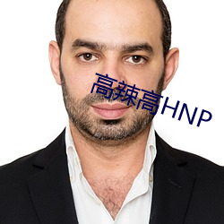 高辣高HNP