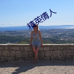 精英(yīng)情人