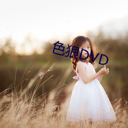 色狠(hěn)DVD