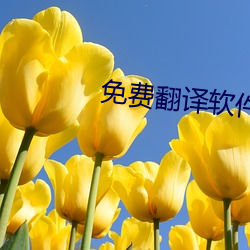 免费翻译软件 （日增月益）