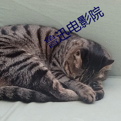 金年会(中国)官方网站
