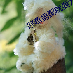 恶毒男配就要为所欲为