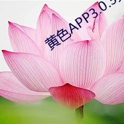 黄色(色)APP3.0.3免费vivo版大(大)全装(裝)扮(扮)202