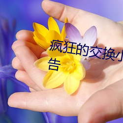 瘋狂的交換小靜小雅小姿章節無廣告