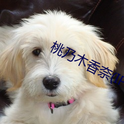 桃乃木香(xiāng)奈(IPX