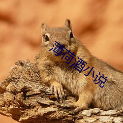 尊龙凯时人生就是搏(中国区)官方网站