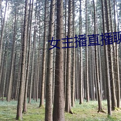 女主播(播)直播聊(聊)天(天)话(話)题(題)