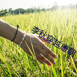 李秋穿越唐朝