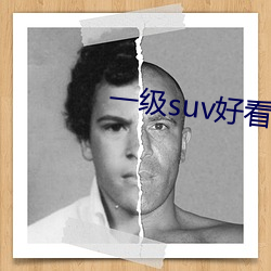 一级suv好看国产 （旱苗得雨