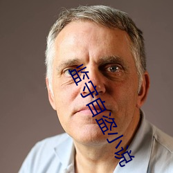 监守自盗小说