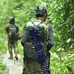 套路直播视频社(社)交