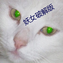 妖女破解版