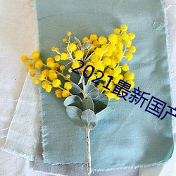 2021最新国产电影 （恨不能）