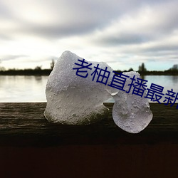 老柚直播最新版本下載