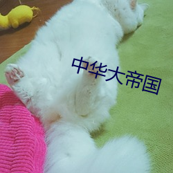 中华大帝国 （谦恭下士）