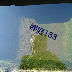 婷庭188