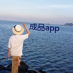 制品app