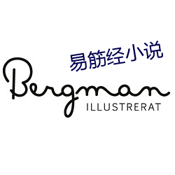 易筋(jīn)经小说