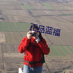 正品藍福