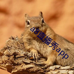 ca88手机客户端(安卓/苹果)CA88会员登录入口