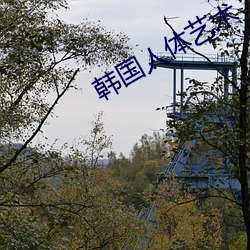 韩国(guó)人体(tǐ)艺(yì)术