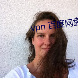 vpn 百度网盘 套间）