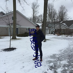 红(紅)楼梦(夢)小说