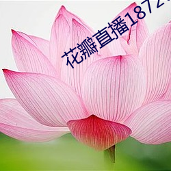 花瓣(瓣)直播1872tyapp下载