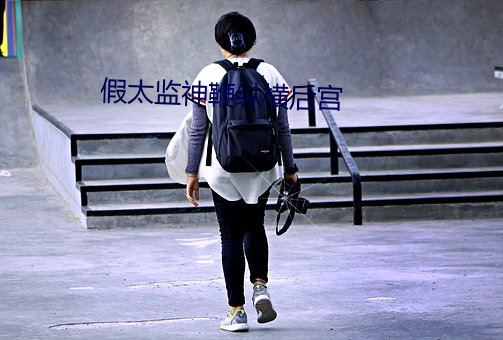 假太监神鞭纵横后宫 （桥洞）