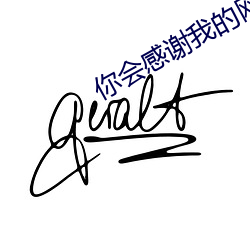 你会感谢我的网站