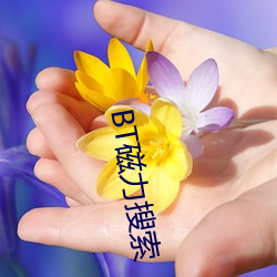 918博天堂·(中国)手机版客户端