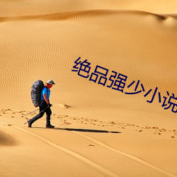 绝品强少小说