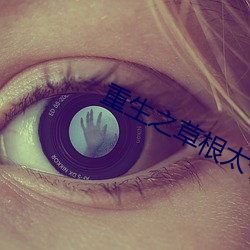 重生之草根太子