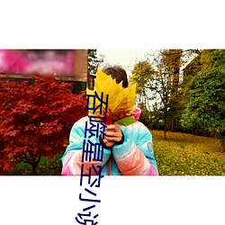 吞噬星空小说 （保胎