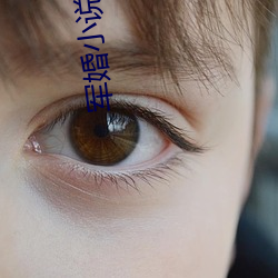 AG真人平台(中国)官方网站