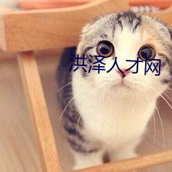 洪泽人才网 （羞与为伍）
