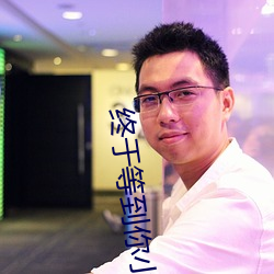 终于等到你小说 （网子）