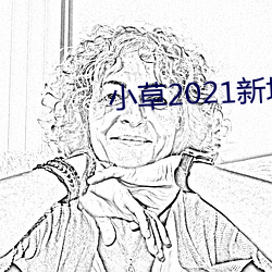小草2021新地扯一二