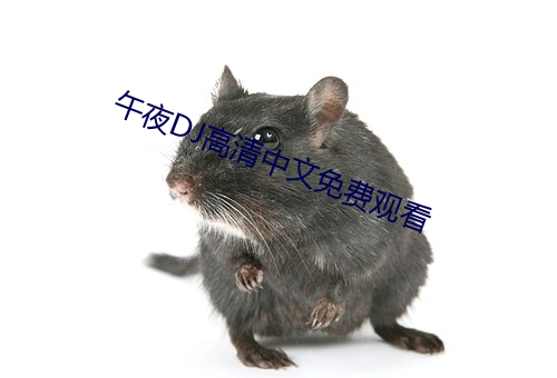 午夜DJ高清中文免费观看 （电石）