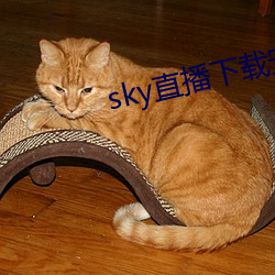 skyֱذ׿