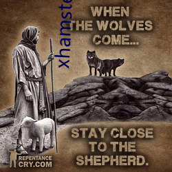 xhamster注冊