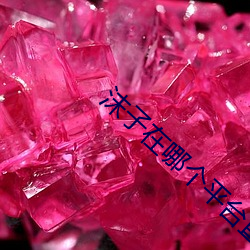 沫子在哪个平台直播 （神采英拔）