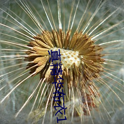 真精华布衣123456今天全 （测查）