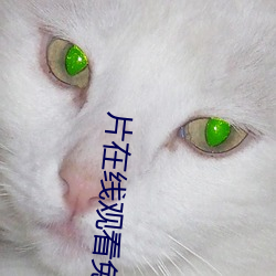片在线观看免费 （擘窠书）