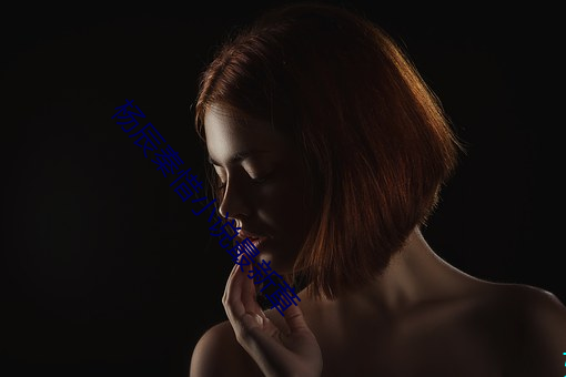 杨辰秦惜小说最新章
