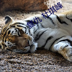 复仇 杜琪峰